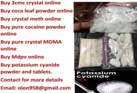 Supply ** MDMA** XTC***ecstasy*** Cocaine****crystal Meth**in Europe